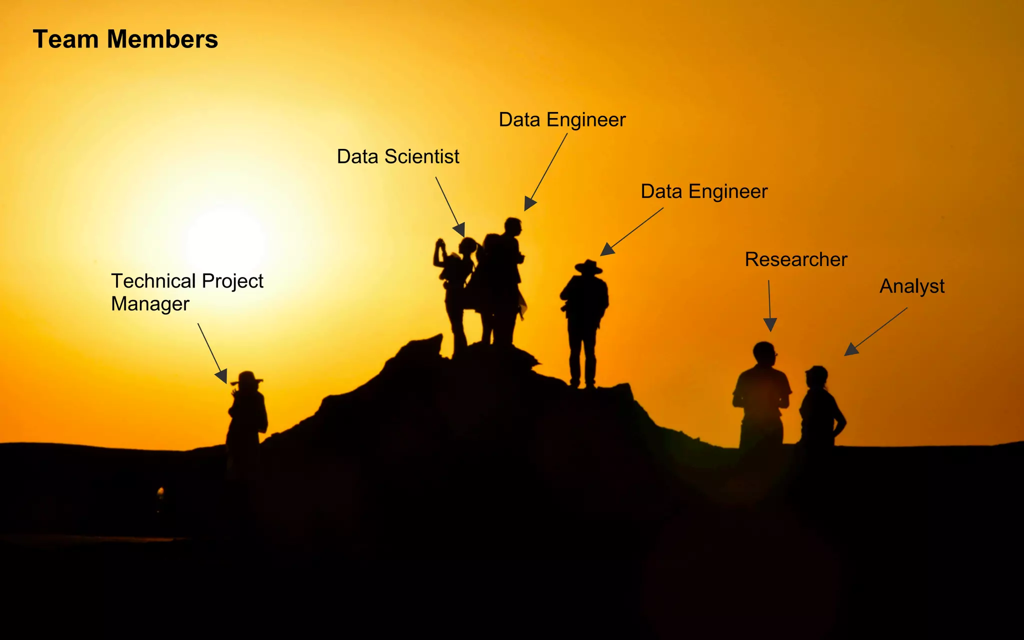 Technical Project
Manager
Data Scientist
Data Engineer
Data Engineer
Analyst
Researcher
Team Members
 