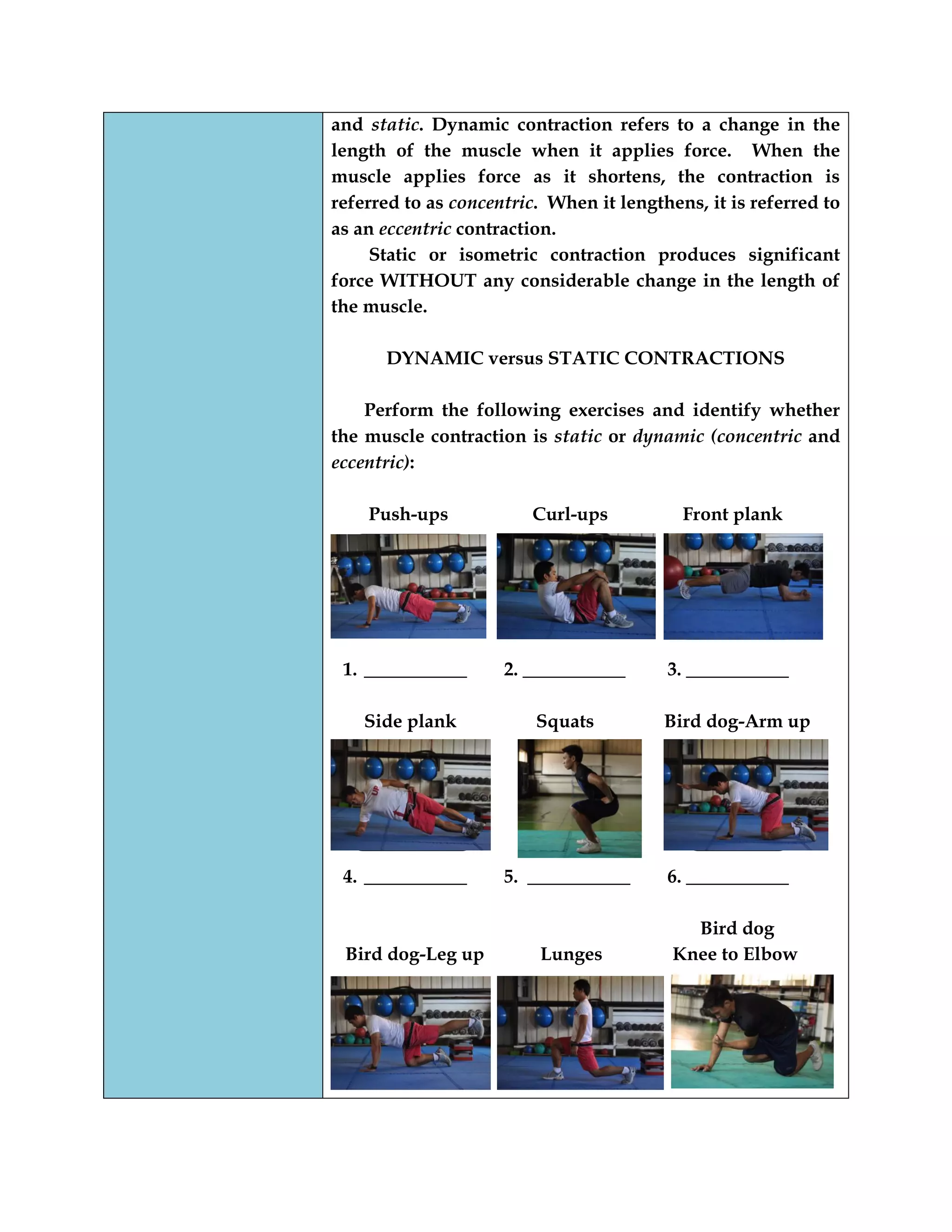 and static. Dynamic contraction refers to a change in the
length of the muscle when it applies force. When the
muscle applies force as it shortens, the contraction is
referred to as concentric. When it lengthens, it is referred to
as an eccentric contraction.
Static or isometric contraction produces significant
force WITHOUT any considerable change in the length of
the muscle.
DYNAMIC versus STATIC CONTRACTIONS
Perform the following exercises and identify whether
the muscle contraction is static or dynamic (concentric and
eccentric):
Push-ups Curl-ups Front plank
1. ___________ 2. ___________ 3. ___________
Side plank Squats Bird dog-Arm up
4. ___________ 5. ___________ 6. ___________
Bird dog
Bird dog-Leg up Lunges Knee to Elbow
 