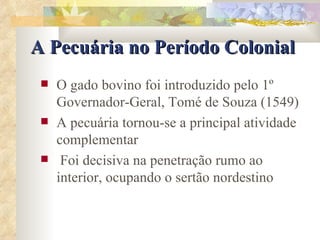 7 Pecuaria Colonial | PPS