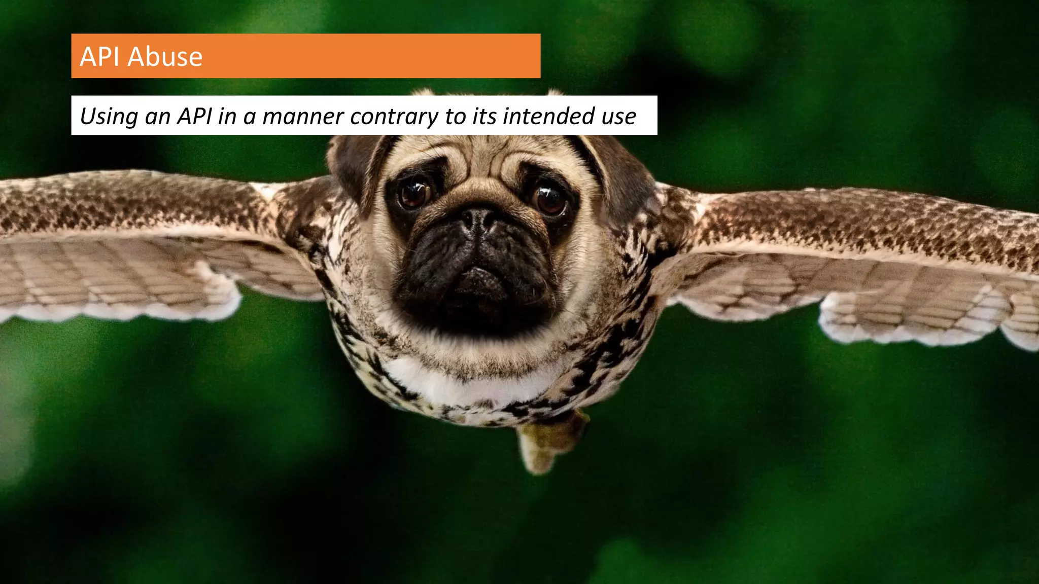 @spoole167
Using an API in a manner contrary to its intended use
API Abuse
 