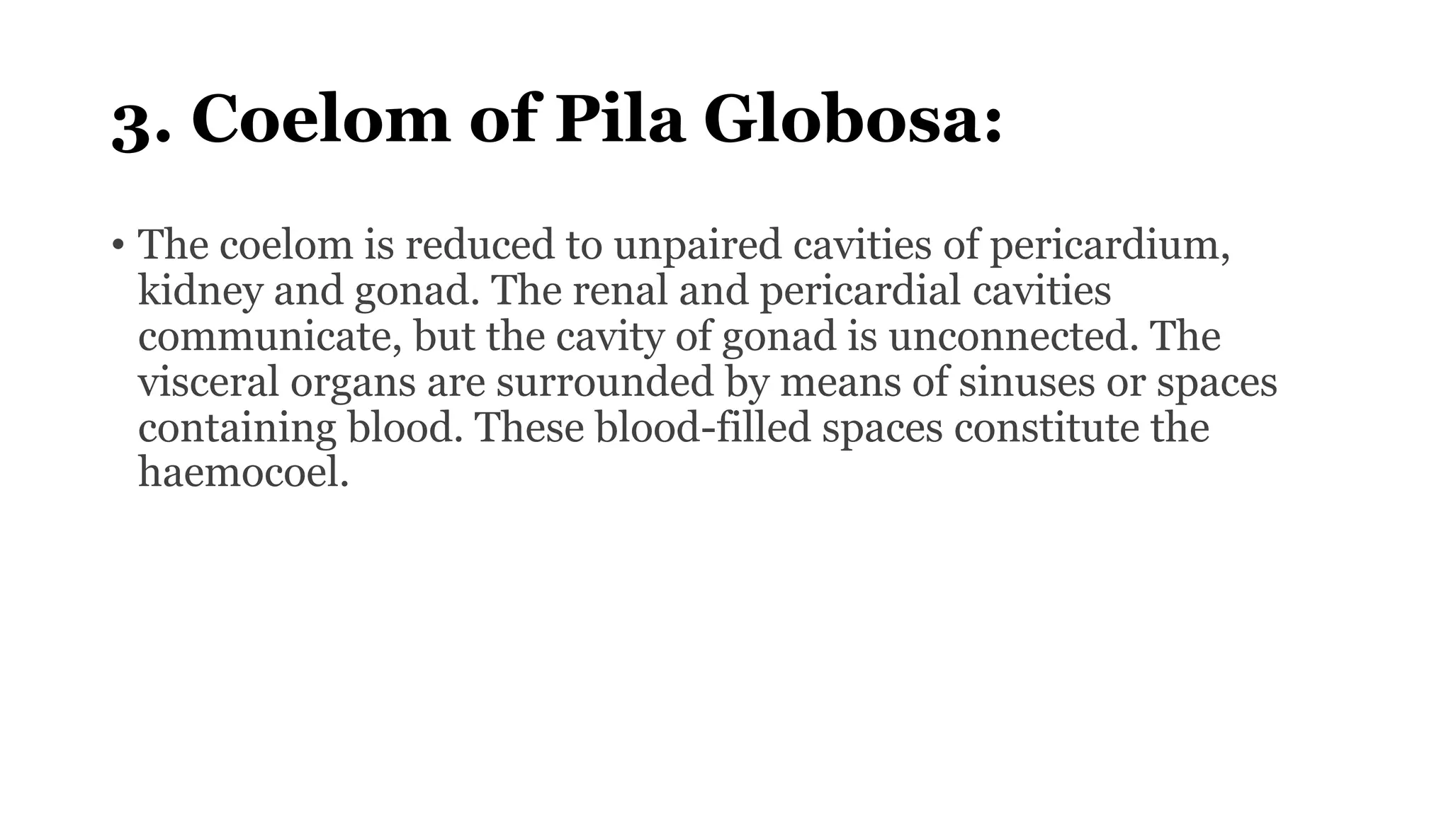 7 Pila globosa.pptx