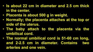 • Is about 22 cm in diameter and 2.5 cm thick
in the center.
• Placenta is about 500 g in weight.
• Normally; the placenta attaches at the top or
side of the uterus.
• The baby attach to the placenta via the
umbilical cord.
• The normal umbilical cord is 51-60 cm long,
and 2-2.5 cm in diameter. Contains two
arteries and one vein.
 