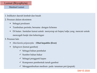 Lumut (Bryophyta)
Manfaat Lumut
1. Indikator daerah lembab dan basah
2. Peranan dalam ekosistem
 Sebagai produsen
 Tumbuhan perintis, bersama dengan lichenes
 Di hutan : bantalan lumut untuk menyerap air hujan/salju yang mencair untuk
mencegah banjir dan kekeringan
3. Peranan lain
 Marchantia polymorpha : Obat hepatitis (liver)
 Sphagnum (lumut gambut)
 Sebagai bahan pembalut
 Sumber bahan bakar
 Sebagai pengganti kapas
 Komponen pembentuk tanah gambut
 Menggemburkan medium pada tanaman pot (pupuk)
 