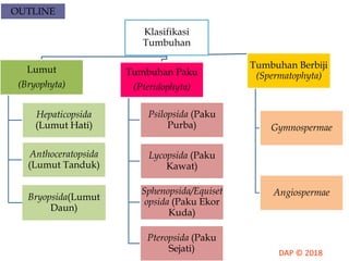 OUTLINE
Klasifikasi
Tumbuhan
Lumut
(Bryophyta)
Hepaticopsida
(Lumut Hati)
Anthoceratopsida
(Lumut Tanduk)
Bryopsida(Lumut
Daun)
Tumbuhan Paku
(Pteridophyta)
Psilopsida (Paku
Purba)
Lycopsida (Paku
Kawat)
Sphenopsida/Equiset
opsida (Paku Ekor
Kuda)
Pteropsida (Paku
Sejati)
Tumbuhan Berbiji
(Spermatophyta)
Gymnospermae
Angiospermae
 