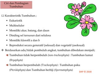 Ciri dan Pembagian
Tumbuhan
 Karakteristik Tumbuhan ;
 Eukariotik
 Multiseluler
 Memiliki akar, batang, dan daun
 Dinding sel tersusun dari selulosa
 Memiliki klorofil a dan b
 Reproduksi secara generatif (seksual) dan vegetatif (aseksual)
 Berdasarkan ada/tidak pembuluh angkut, tumbuhan dibedakan menjadi;
Tumbuhan tidak berpembuluh (non-tracheophyta) : Tumbuhan lumut
(Bryophyta)
Tumbuhan berpembuluh (Tracheophyta) : Tumbuhan paku
(Pteridophyta) dan Tumbuhan berbiji (Spermatophyta)
 