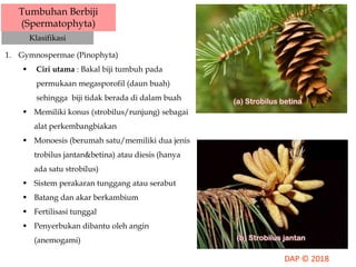 Tumbuhan Berbiji
(Spermatophyta)
Klasifikasi
1. Gymnospermae (Pinophyta)
 Ciri utama : Bakal biji tumbuh pada
permukaan megasporofil (daun buah)
sehingga biji tidak berada di dalam buah
 Memiliki konus (strobilus/runjung) sebagai
alat perkembangbiakan
 Monoesis (berumah satu/memiliki dua jenis
trobilus jantan&betina) atau diesis (hanya
ada satu strobilus)
 Sistem perakaran tunggang atau serabut
 Batang dan akar berkambium
 Fertilisasi tunggal
 Penyerbukan dibantu oleh angin
(anemogami)
 