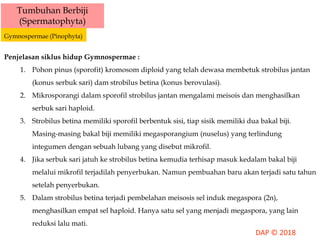 Tumbuhan Berbiji
(Spermatophyta)
Gymnospermae (Pinophyta)
Penjelasan siklus hidup Gymnospermae :
1. Pohon pinus (sporofit) kromosom diploid yang telah dewasa membetuk strobilus jantan
(konus serbuk sari) dam strobilus betina (konus berovulasi).
2. Mikrosporangi dalam sporofil strobilus jantan mengalami meisois dan menghasilkan
serbuk sari haploid.
3. Strobilus betina memiliki sporofil berbentuk sisi, tiap sisik memiliki dua bakal biji.
Masing-masing bakal biji memiliki megasporangium (nuselus) yang terlindung
integumen dengan sebuah lubang yang disebut mikrofil.
4. Jika serbuk sari jatuh ke strobilus betina kemudia terhisap masuk kedalam bakal biji
melalui mikrofil terjadilah penyerbukan. Namun pembuahan baru akan terjadi satu tahun
setelah penyerbukan.
5. Dalam strobilus betina terjadi pembelahan meisosis sel induk megaspora (2n),
menghasilkan empat sel haploid. Hanya satu sel yang menjadi megaspora, yang lain
reduksi lalu mati.
 
