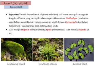Lumut (Bryophyta)
Karakteristik
 Bryophta (Yunani, bryon=lumut, phyton=tumbuhan), jadi lumut merupakan anggota
Kingdom Plantae yang merupakan bentuk peralihan antara Thallophyta (tumbuhan
yang belum memiliki akar, batang, dan daun sejati) dengan Cormophyta (tumbuhan
berkormus)—sudah punya akar, batang, daun sejati.
 Cara hidup : Higrofit (tempat lembab); Epifit (menempel di kulit pohon); Hidrofit (di
air)
Lumut daun (di batuan) Lumut hati (di air)Lumut tanduk (di tanah)
 