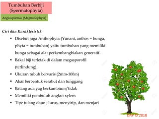 Tumbuhan Berbiji
(Spermatophyta)
Angiospermae (Magnoliophyta)
Ciri dan Karakteristik
 Disebut juga Anthophyta (Yunani, anthos = bunga,
phyta = tumbuhan) yaitu tumbuhan yang memiliki
bunga sebagai alat perkembangbiakan generatif.
 Bakal biji terletak di dalam megasporofil
(terlindung).
 Ukuran tubuh bervaris (2mm-100m)
 Akar berbentuk serabut dan tunggang
 Batang ada yag berkambium/tidak
 Memiliki pembuluh angkut xylem
 Tipe tulang daun ; lurus, menyirip, dan menjari
 