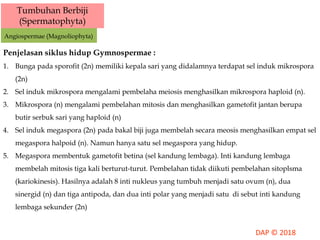 Tumbuhan Berbiji
(Spermatophyta)
Angiospermae (Magnoliophyta)
Penjelasan siklus hidup Gymnospermae :
1. Bunga pada sporofit (2n) memiliki kepala sari yang didalamnya terdapat sel induk mikrospora
(2n)
2. Sel induk mikrospora mengalami pembelaha meiosis menghasilkan mikrospora haploid (n).
3. Mikrospora (n) mengalami pembelahan mitosis dan menghasilkan gametofit jantan berupa
butir serbuk sari yang haploid (n)
4. Sel induk megaspora (2n) pada bakal biji juga membelah secara meosis menghasilkan empat sel
megaspora halpoid (n). Namun hanya satu sel megaspora yang hidup.
5. Megaspora membentuk gametofit betina (sel kandung lembaga). Inti kandung lembaga
membelah mitosis tiga kali berturut-turut. Pembelahan tidak diikuti pembelahan sitoplsma
(kariokinesis). Hasilnya adalah 8 inti nukleus yang tumbuh menjadi satu ovum (n), dua
sinergid (n) dan tiga antipoda, dan dua inti polar yang menjadi satu di sebut inti kandung
lembaga sekunder (2n)
 