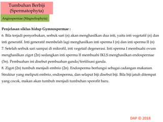 Penjelasan siklus hidup Gymnospermae :
6. Bila terjadi penyerbukan, serbuk sari (n) akan menghasilkan dua inti, yaitu inti vegetatif (n) dan
inti generatif. Inti generatif membelah lagi menghasilkan inti sperma I (n) dan inti sperma II (n)
7. Setelah serbuk sari sampai di mikrofil, inti vegetaif degenerasi. Inti sperma I membuahi ovum
menghasilkan zigot (2n) sedangkan inti sperma II membuahi IKLS menghasilkan endospermae
(3n). Pembuahan ini disebut pembuahan ganda/fertilisasi ganda.
8. Zigot (2n) tumbuh menjadi embrio (2n). Endosperma berfungsi sebagai cadangan makanan.
Struktur yang meliputi embrio, endosperma, dan selaput biji disebut biji. Bila biji jatuh ditempat
yang cocok, makan akan tumbuh menjadi tumbuhan sporofit baru.
Tumbuhan Berbiji
(Spermatophyta)
Angiospermae (Magnoliophyta)
 
