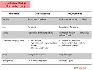 Tumbuhan Berbiji
(Spermatophyta)
Perbedaan Gymnospermae Angiospermae
Habitus Semak, perdu, pohon Herba, semak, perdu, pohon
Akar Tunggang Serabut dan Tunggang
Batang Tegak lurus, bercabang-cabang Bermacam-macam Bercabang-
cabang / tidak
Anatomi Batang dan Akar  Berkambium
 Tipe pembuluh angkut kolateral
terbuka
 Xilem berupa trakeid
 Tidak / ada kambium
 Kolateral tertutup / terbuka
 Trakea dan trakeid
Daun Jarang berdaun lebar Pipih dan lebar
Tulang Daun Tidak banyak ragamnya Beraneka ragam
 