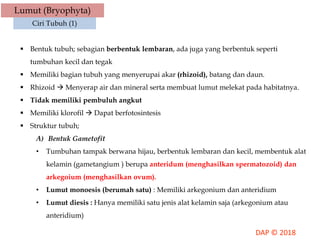 Lumut (Bryophyta)
Ciri Tubuh (1)
 Bentuk tubuh; sebagian berbentuk lembaran, ada juga yang berbentuk seperti
tumbuhan kecil dan tegak
 Memiliki bagian tubuh yang menyerupai akar (rhizoid), batang dan daun.
 Rhizoid  Menyerap air dan mineral serta membuat lumut melekat pada habitatnya.
 Tidak memiliki pembuluh angkut
 Memiliki klorofil  Dapat berfotosintesis
 Struktur tubuh;
A) Bentuk Gametofit
• Tumbuhan tampak berwana hijau, berbentuk lembaran dan kecil, membentuk alat
kelamin (gametangium ) berupa anteridum (menghasilkan spermatozoid) dan
arkegoium (menghasilkan ovum).
• Lumut monoesis (berumah satu) : Memiliki arkegonium dan anteridium
• Lumut diesis : Hanya memiliki satu jenis alat kelamin saja (arkegonium atau
anteridium)
 