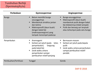 Perbedaan Gymnospermae Angiospermae
Bunga  Belum memiliki bunga
sesungguhnya
 Membentuk strobilus jantan
dan betina
 Makrosporofil (daun buah)
dengan bakal biji
(makrosporangium) yang
tampak menempel padanya
 Bunga sesungguhnya
 Makrosporofil (daun buah)
membentuk putik dengan bakal
biji didalamnya (tidak tampak)
 Putik dan benang sari terpisah
atau terkumpul pada satu bunga
Penyerbukan  Anemogami
 Serbuk sari jatuh (pada tetes
penyerbukan) langsung
pada bakal biji
 Jarak waktu antara
penyerbukan sampai
pembuahan relatif panjang
 Bermacam-macam
 Serbuk sari jatuh pada kepala
putik
 Jarak waktu antara penyerbukan
sampai pembuahan relatif
pendek
Pembuahan/Fertilisasi Tunggal Ganda
Tumbuhan Berbiji
(Spermatophyta)
 