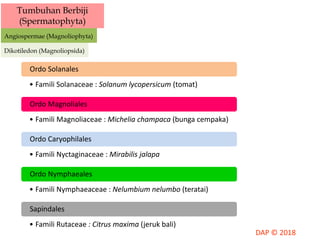 Tumbuhan Berbiji
(Spermatophyta)
Angiospermae (Magnoliophyta)
Dikotiledon (Magnoliopsida)
• Famili Solanaceae : Solanum lycopersicum (tomat)
Ordo Solanales
• Famili Magnoliaceae : Michelia champaca (bunga cempaka)
Ordo Magnoliales
• Famili Nyctaginaceae : Mirabilis jalapa
Ordo Caryophilales
• Famili Nymphaeaceae : Nelumbium nelumbo (teratai)
Ordo Nymphaeales
• Famili Rutaceae : Citrus maxima (jeruk bali)
Sapindales
 