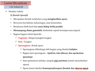 Lumut (Bryophyta)
Ciri Tubuh (2)
 Struktur tubuh;
B) Bentuk Sporofit
• Merupakan bentuk tumbuhan yang menghasilkan spora.
• Berwarna kecokletan, kekuningan, atau kemerahan.
• Berukuran lebih kecil dan masa hidup lebih pendek
• Menumpang diatas gametofit, berbentuk seperti terompet atau kapsul.
• Bagian-bagian tubuh Sporofit :
 Vaginula : Selaput pangkal tangkai
 Seta : Tangkai
 Sporangium : Kotak spora
 Sporangium dilindungi oleh bagian yang disebut kaliptra.
 Bagian dari sporangium : Apofisis, teka (theca), dan operkulum
(penutup)
 Saat operkulum terbuka, tampak gigi peristom (untuk menyebarkan
spora).
 Spora lumut disebut homospora/isospora (bentuk dan ukuran sama).
 