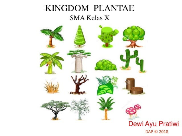 Kingdom Plantae
