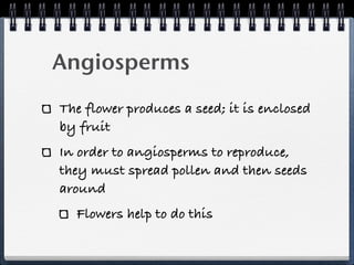 Angiosperms
The flower produces a seed; it is enclosed
by fruit
In order to angiosperms to reproduce,
they must spread pollen and then seeds
around
  Flowers help to do this
 