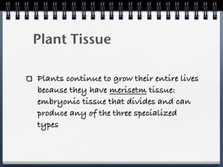 Plant Tissue

Plants continue to grow their entire lives
because they have merisetm tissue:
embryonic tissue that divides and can
produce any of the three specialized
types
 