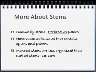 More About Stems

Nonwoody stems- Herbaceous plants
Have vascular bundles that contain
xylem and phloem
Monocot stems are less organized than
eudicot stems- see book
 