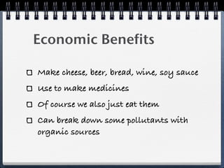 Economic Benefits

Make cheese, beer, bread, wine, soy sauce
Use to make medicines
Of course we also just eat them
Can break down some pollutants with
organic sources
 