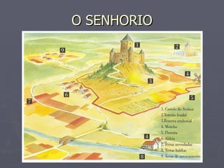 O SENHORIO 