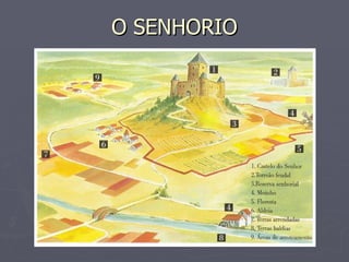 O SENHORIO 