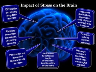 Impact of Stress on the Brain




      www.MindfullyChange.com
 