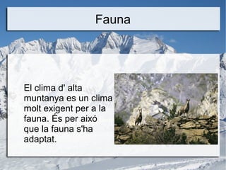 Fauna
El clima d' alta
muntanya es un clima
molt exigent per a la
fauna. És per aixó
que la fauna s'ha
adaptat.
 