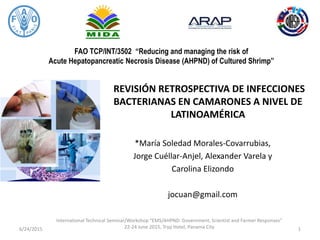 FAO TCP/INT/3502 “Reducing and managing the risk of
Acute Hepatopancreatic Necrosis Disease (AHPND) of Cultured Shrimp”
REVISIÓN RETROSPECTIVA DE INFECCIONES
BACTERIANAS EN CAMARONES A NIVEL DE
LATINOAMÉRICA
*María Soledad Morales-Covarrubias,
Jorge Cuéllar-Anjel, Alexander Varela y
Carolina Elizondo
jocuan@gmail.com
6/24/2015
International Technical Seminar/Workshop “EMS/AHPND: Government, Scientist and Farmer Responses”
22-24 June 2015, Tryp Hotel, Panama City 1
 