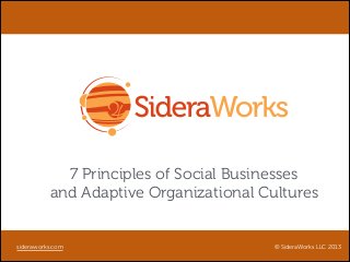 7 Principles of Social Businesses
and Adaptive Organizational Cultures

sideraworks.com

© SideraWorks LLC 2013

 