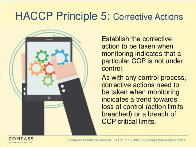 7 princples of haccp