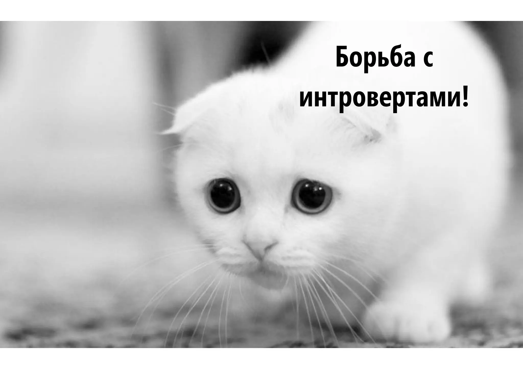 Борьба с
интровертами!
 