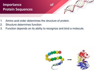Protein Overview Comprehensive Overview of Protein Structure Prediction Methods and ...