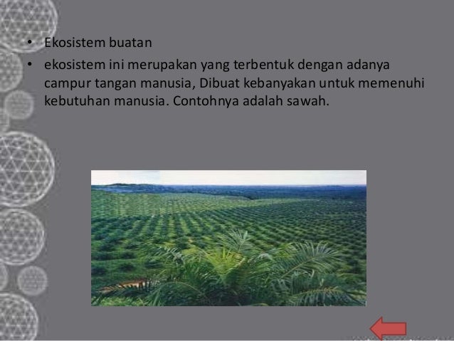 Keanekaragaman hayati tingkat ekosistem ppt