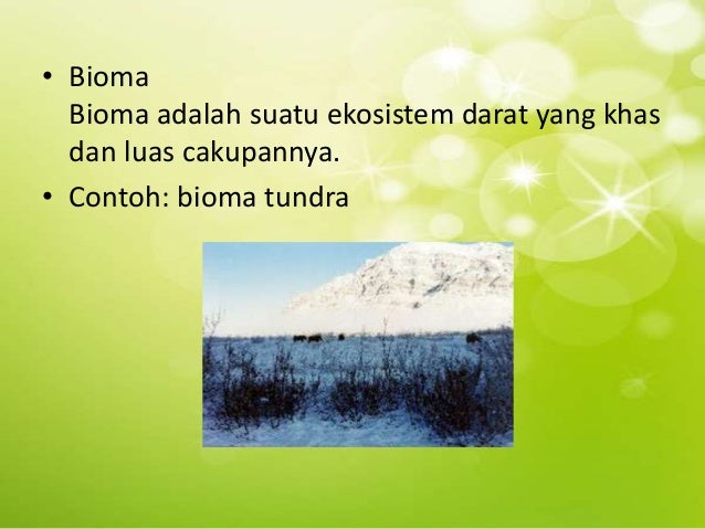Keanekaragaman hayati tingkat ekosistem ppt