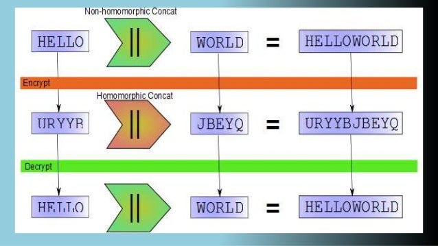 Homomorphic Encryption Case Study