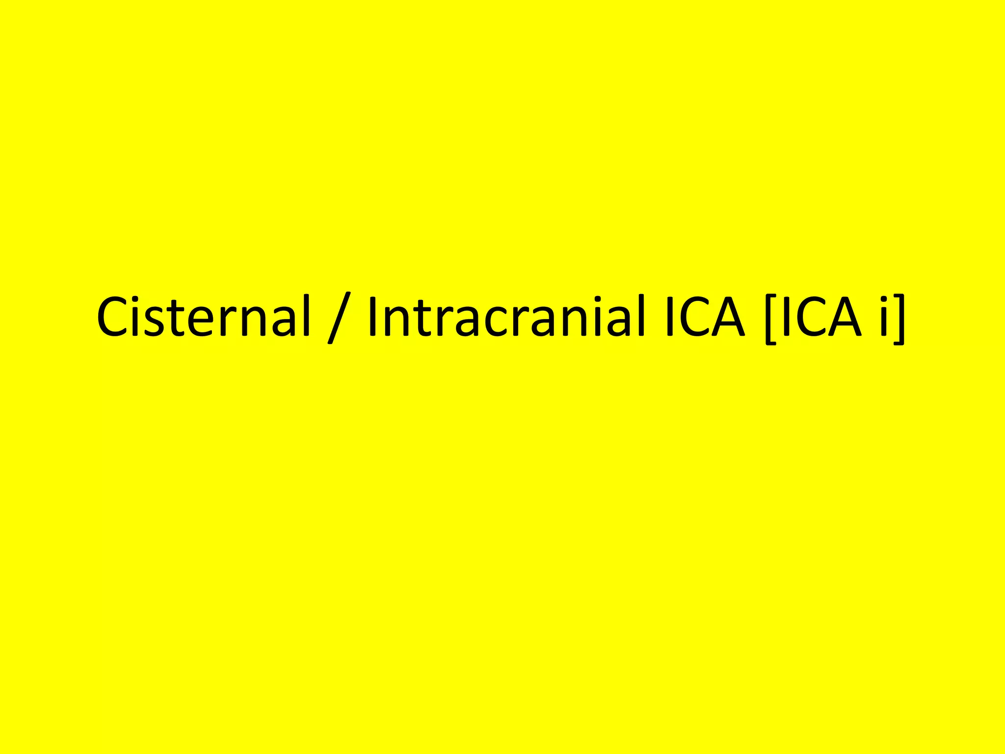 Cisternal / Intracranial ICA [ICA i]
 