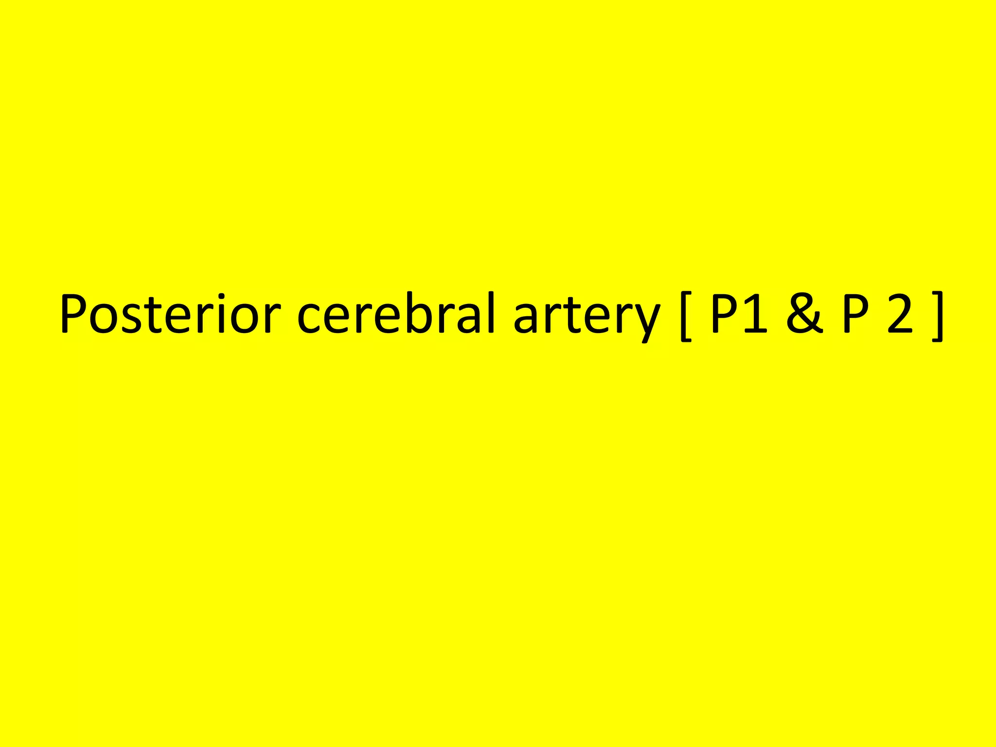 Posterior cerebral artery [ P1 & P 2 ]
 