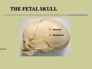 Normal labour and delivery | PPSX