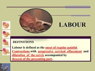 Normal labour and delivery | PPSX
