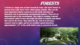 Topic- Evergreen Forest - very imp for class 4 | PPTX