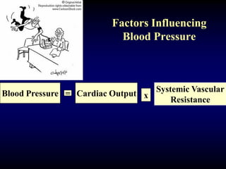 Factors Influencing
Blood Pressure
Blood Pressure = Cardiac Output x
Systemic Vascular
Resistance
 