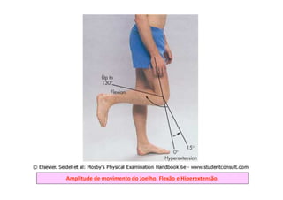 Amplitude de movimento do Joelho. Flexão e Hiperextensão.
 