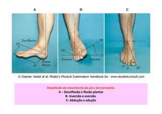 Amplitude do movimento do pé e do tornozelo.
A – Dorsiflexão e flexão plantar
B- Inversão e eversão
C- Abdução e adução
 