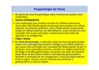 Fisopatologia do Clono
• Do ponto de vista fisiopatológico (dois mecanismos podem estar
envolvidos).
• DUPLO ESTIRAMENTO
1- Uma explicação mais simples consiste em reflexos extensores
alternados. Dorsiflexão aguda do pé pode desencadear um reflexo
extensor nos flexores plantares, com a flexão plantar provocando
então um reflexo extensor nos dorsiflexores, o que resulta em uma
oscilação rítmica por contração e relaxamento alternados do
agonista e do antagonista.
• FUSO / GOLGI
2- No clono do tornozelo, a extensão súbita do músculo gastrossóleo
evoca uma contração basicamente análoga a um reflexo extensor
que causa uma contração com conseqüente flexão plantar do pé. O
pé desce. Essa contração aumenta a tensão nos órgãos tendinosos
de Golgi no tendão gastrossóleo, enviando uma salva de impulsos
pelas fibras Ib que inibem então a contração do gastrossóleo e
facilitam a contração do seu antagonista, o músculo tibial anterior.
O pé se ergue. Isto por sua vez estende passivamente o
gastrossóleo e o ciclo se repete.
 