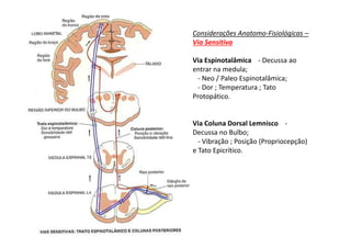 Considerações Anatomo-Fisiológicas –
Via Sensitiva
Via Espinotalâmica - Decussa ao
entrar na medula;
- Neo / Paleo Espinotalâmica;
- Dor ; Temperatura ; Tato
Protopático.
Via Coluna Dorsal Lemnisco -
Decussa no Bulbo;
- Vibração ; Posição (Propriocepção)
e Tato Epicrítico.
 