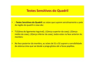 Testes Sensitivos do Quadril
• - Testes Sensitivos do Quadril: as raízes que suprem sensitivamente a pele
da região do quadril e coxa são:
• T12(área do ligamento inguinal), L1(terço superior da coxa), L2(terço
médio da coxa), L3(terço inferior da coxa), todos estes na face anterior do
membro.
• Na face posterior do membro, as raízes de S1 e S2 suprem a sensibilidade
de extensa área que vai desde a prega glútea até a fossa poplítea.
 