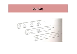 Lentes
 