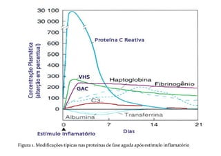Figura 1. Modificações típicas nas proteínas de fase aguda após estímulo inflamatório
 